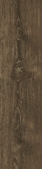 DENDRO CEVİZ
