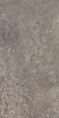 PALEO TAUPE RECTIFIED