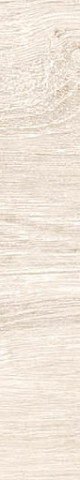 20x120 DENDRO AKCAAGAC REKTİFİYE